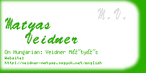 matyas veidner business card